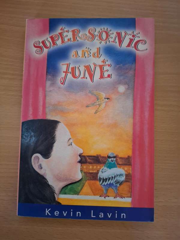Supersonic and June : Kevin Lavin (Paperback)