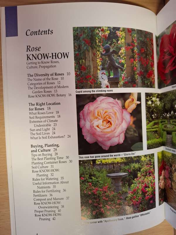 Roses - Beautiful roses for every garden size and setting (200 full color photographs) Paperback