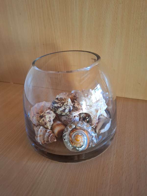 Glass Vase with Seashells