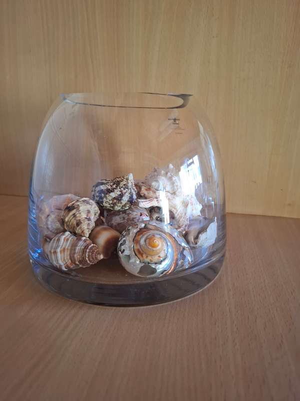 Glass Vase with Seashells