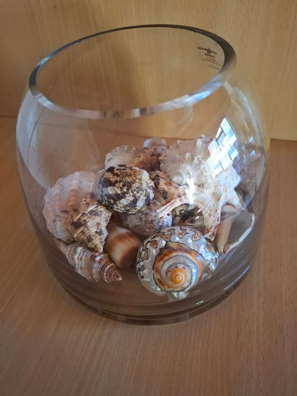 Glass Vase with Seashells