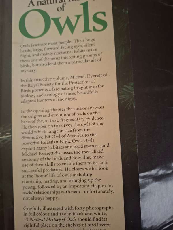 A Natural History of Owls : Michael Everett  (Hardcover)
