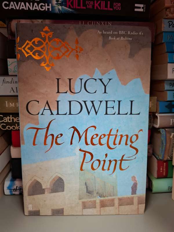 The Meeting Point: Lucy Caldwell  (Paperback)
