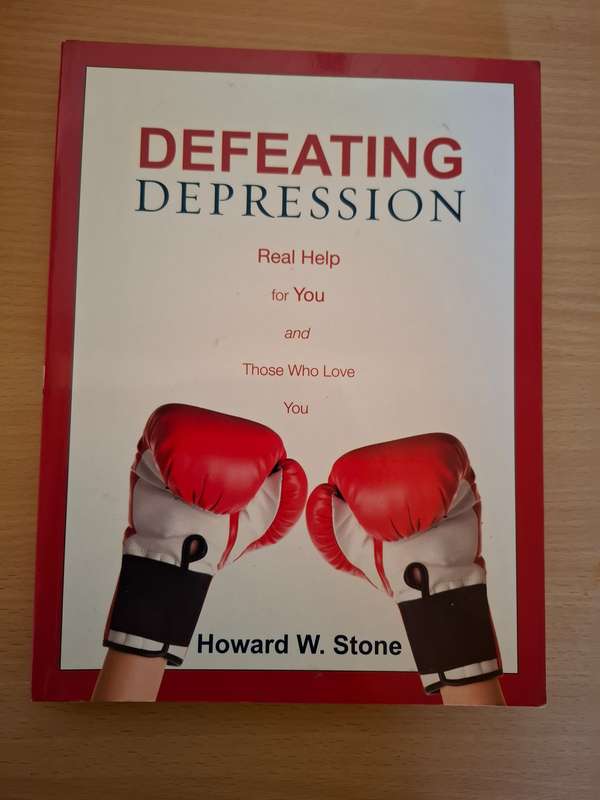 Defeating Depression - Howard W. Stone  (Paperback)