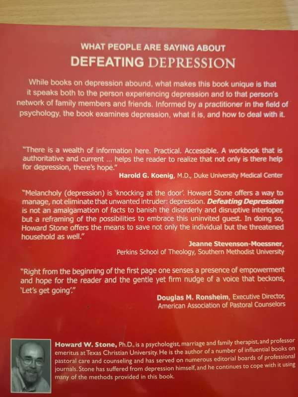 Defeating Depression - Howard W. Stone  (Paperback)