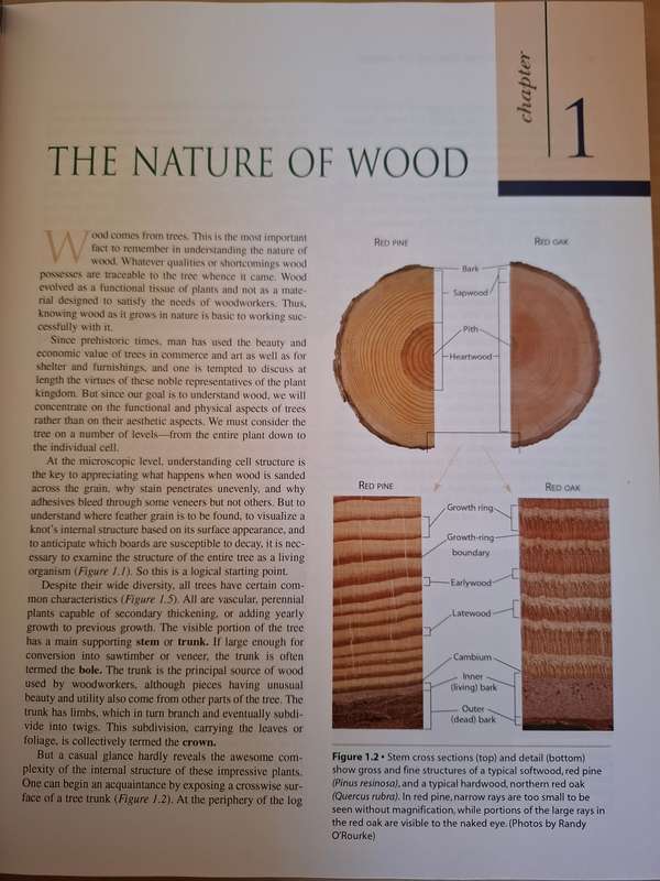 Understanding Wood - A Craftsman`s Guide to Wood Technology : R. Bruce Hoadley (Hardcover)