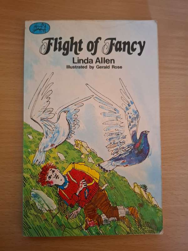 Flight of Fancy: Linda Allen  (Paperback)