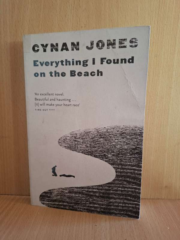 Everything I Found on The Beach: Cynan Jones  (Paperback)