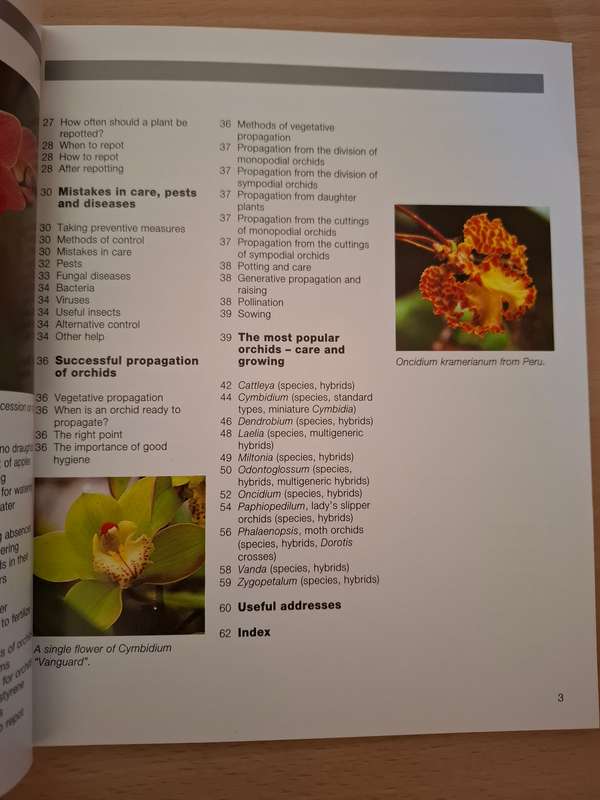 Success with Orchids - Lesley Young (Paperback)