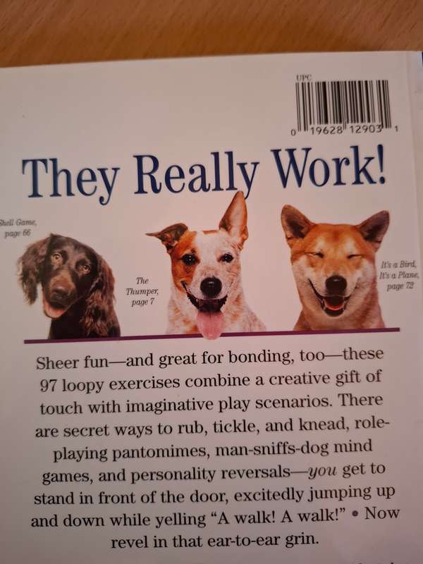 97 Ways to Make a Dog Smile by Jenny Langbehn (Paperback)