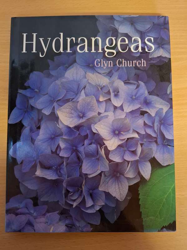 Hydrangeas : Glyn Church(Hardcover)