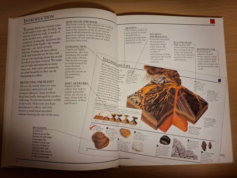 Rocks and Minerals - Neil Curtis (Hardcover)