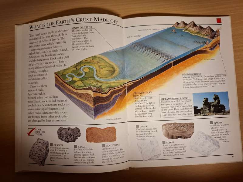 Rocks and Minerals - Neil Curtis (Hardcover)