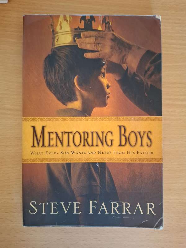 Mentoring Boys : Steve Farrar  (Paperback)