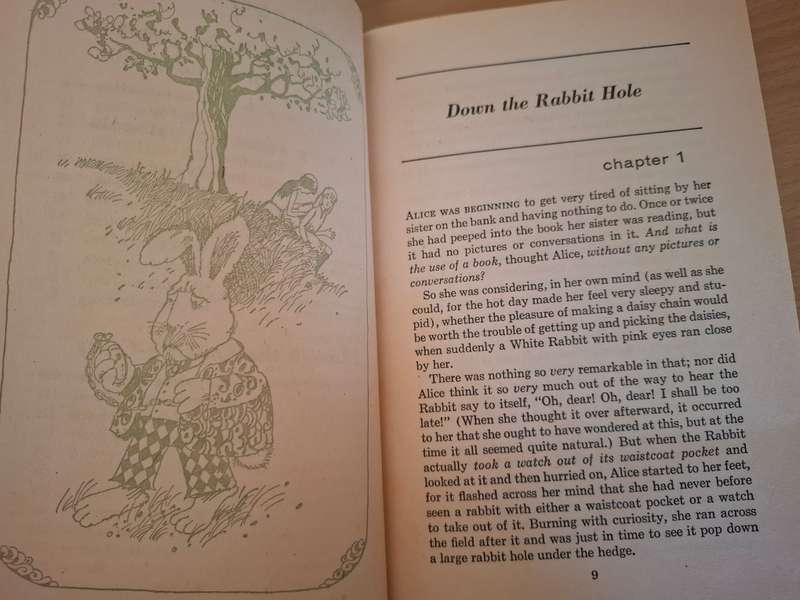 Alice in Wonderland by Lewis Carroll  (Paperback)