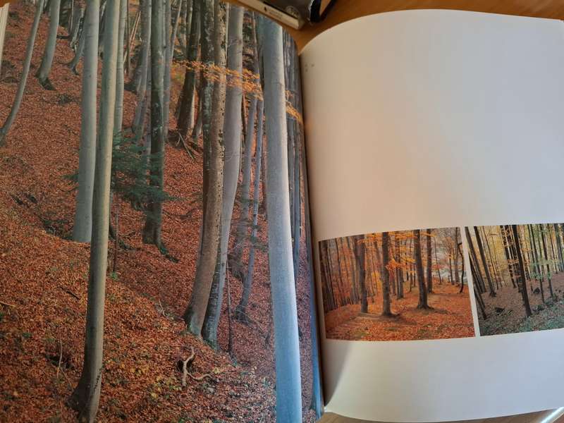 Hohenems - Fotografien von Peter Mathis