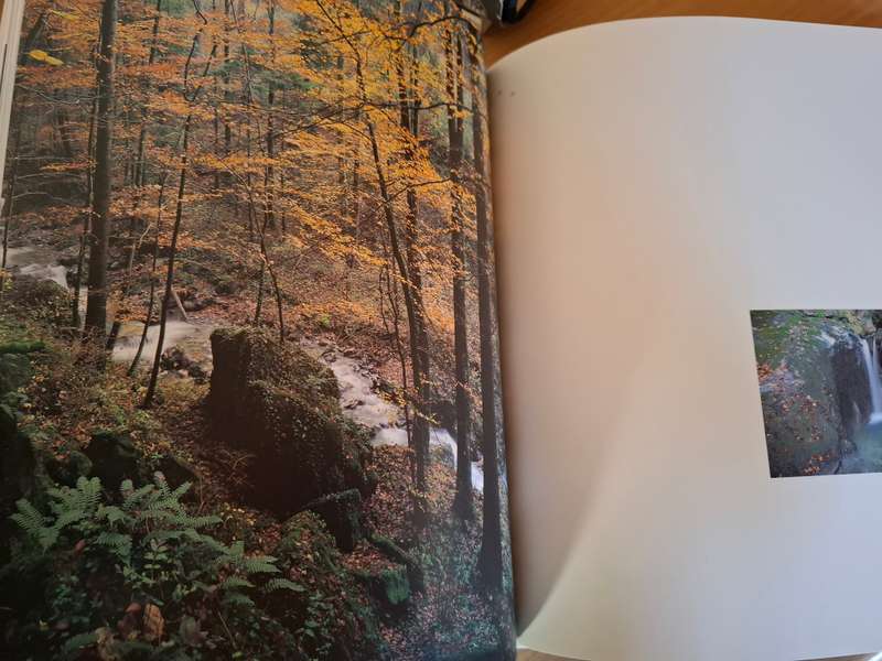 Hohenems - Fotografien von Peter Mathis