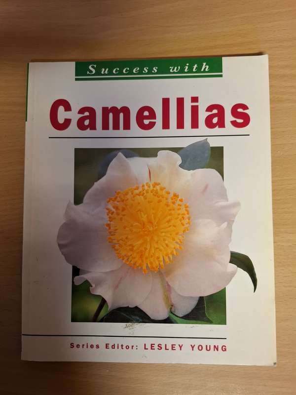 Success with Camellias : Lesley Young  (Paperback)