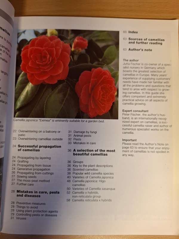 Success with Camellias : Lesley Young  (Paperback)
