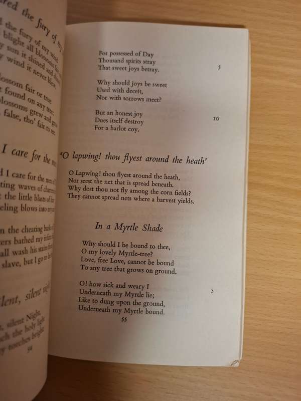 Selected Poems of William Blake : F.W. Bateson  (Paperback)