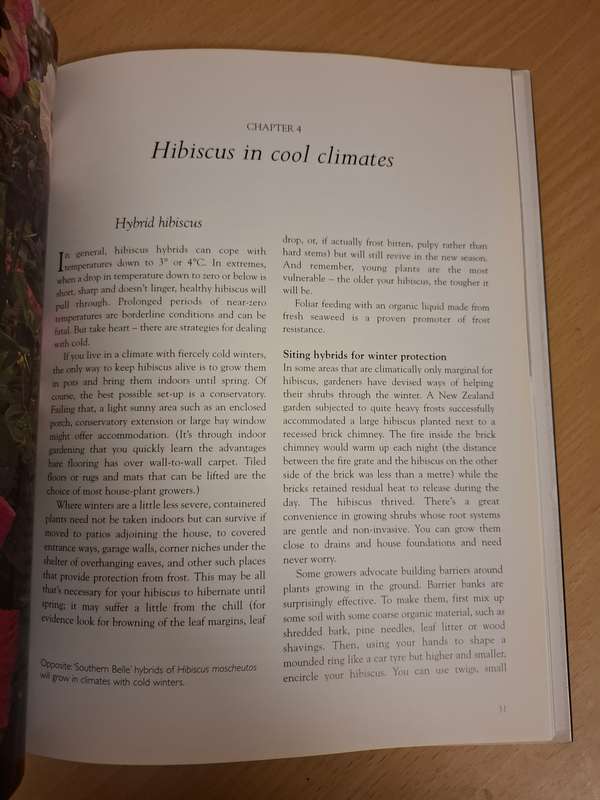 Hibiscus : Jacqueline Walker  (Hardcover)