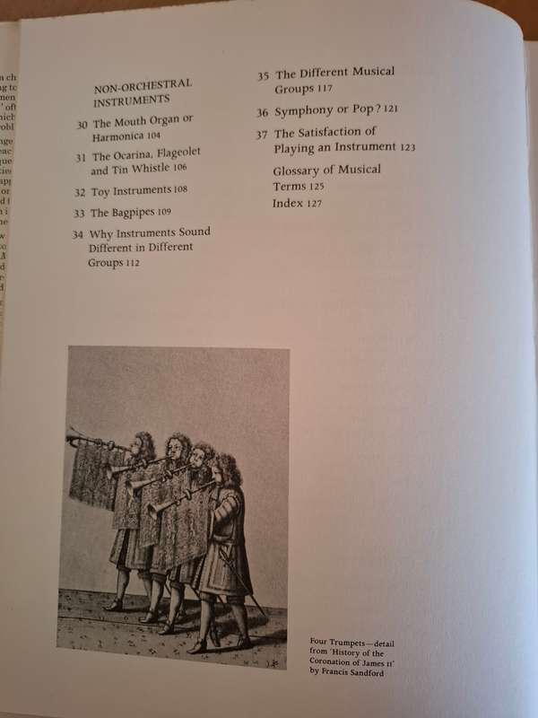 What Instrument Shall I Play? Nicholas Ingman, Bernard Brett  (Hardcover)