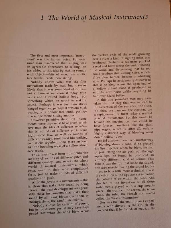 What Instrument Shall I Play? Nicholas Ingman, Bernard Brett  (Hardcover)