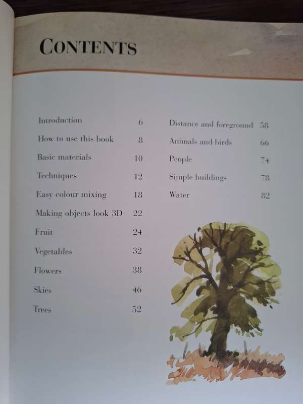 Collins - You Can Paint - Watercolour - A step-by-step guide for Absolute Beginners: Alwyn Crawshaw