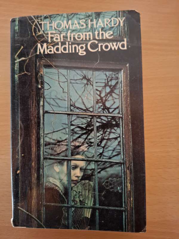 Far from The Madding Crowd: Thomas Hardy (Paperback)