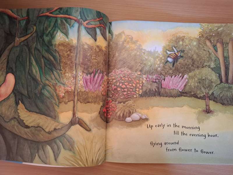 Willbee the Bumblebee : Craig Smith & Maureen Thomson  (Paperback)
