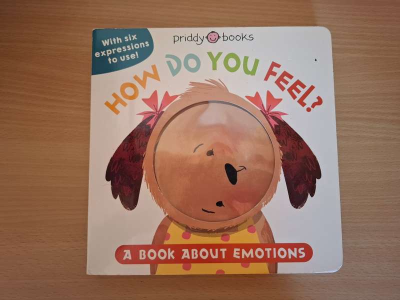 Priddy Books - How Do You Feel (A Book about Emotions) Board Book