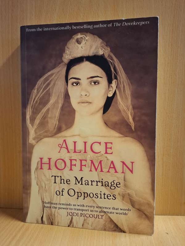 The Marriage of Opposites : Alice Hoffman (Paperback)