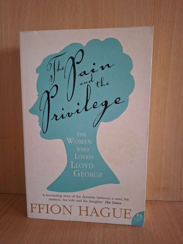 The Pain and the Privilege : Ffion Hague  (Paperback)