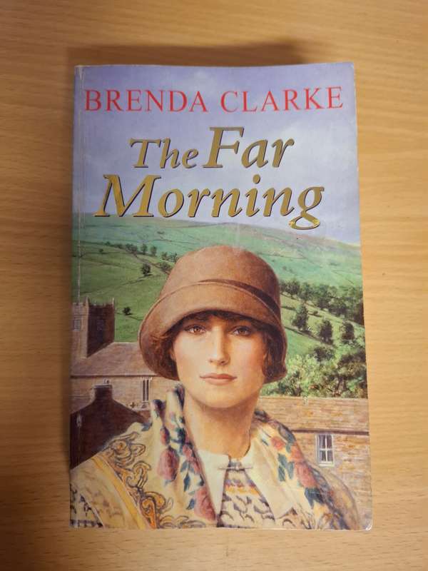 The Far Morning : Brenda Clarke  (Paperback)