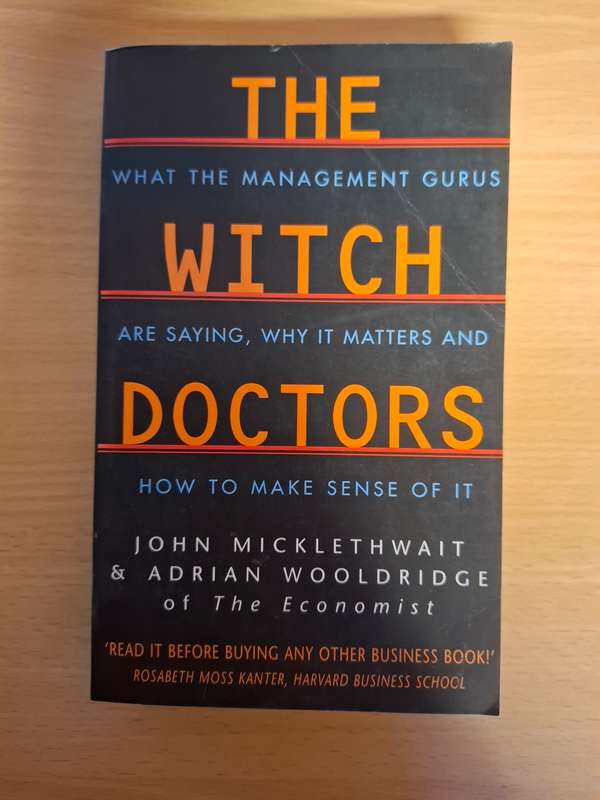 The Witch Doctors - John Micklethwait & Adrian Wooldridge  (Paperback)