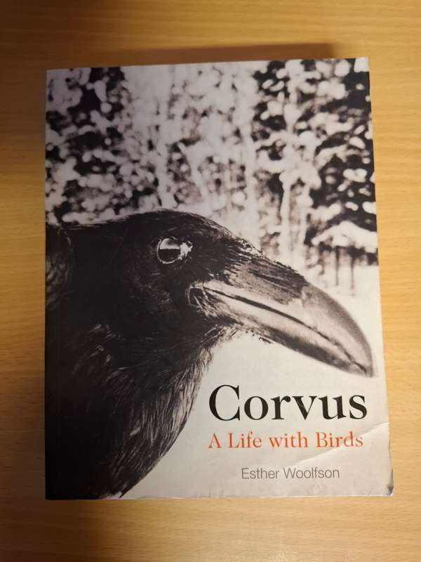 Corvus - A Life with Birds: Esther Woolfson (Paperback)