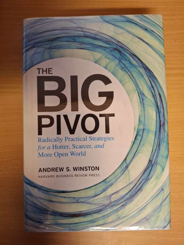 The Big Pivot : Andrew S. Winston  (Hardcover)
