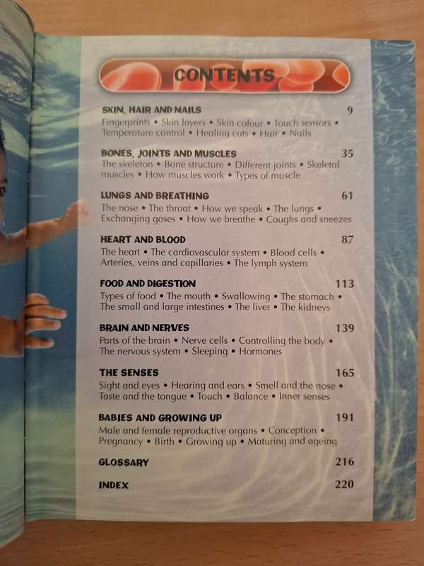 Children`s Human Body Encyclopedia  (Hardcover)