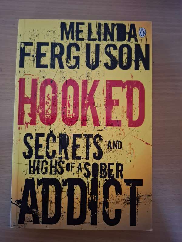 Hooked Secrets and Highs of a Sober Addict : Melinda Ferguson (Paperback)