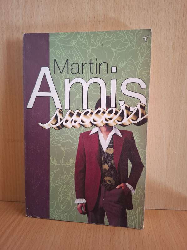 Success: Martin Amis (Paperback)