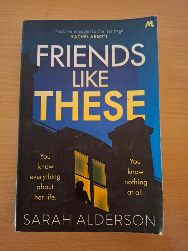 Friends Like These: Sarah Alderson  (Paperback)