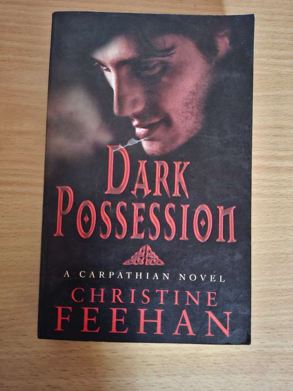 Dark Possession : Christine Feehan  (Paperback)