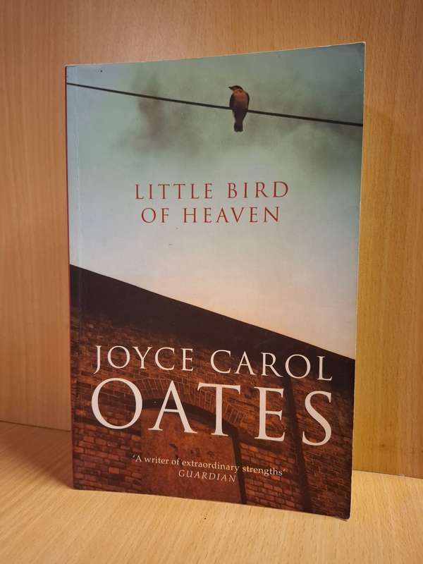 Little Bird of Heaven: Joyce Carol Oates (Paperback)