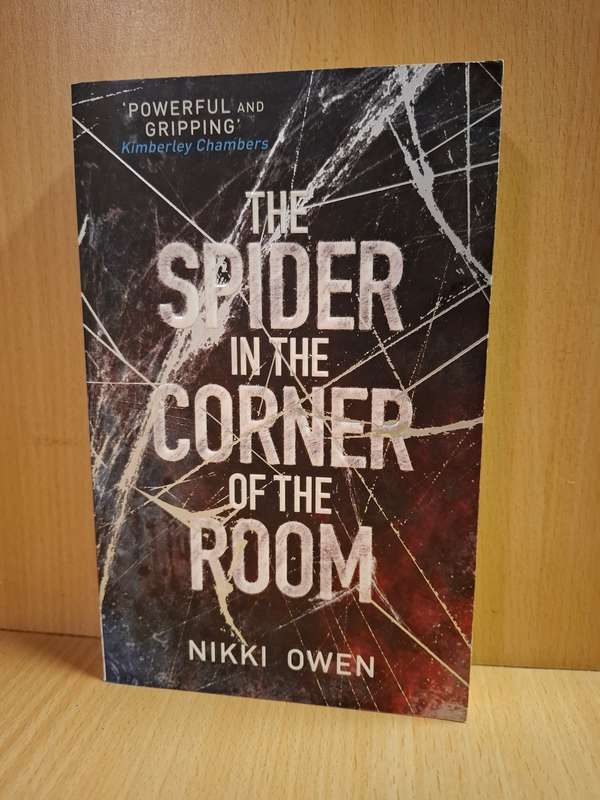 The Spider in the Corner of the Room : Nikki Owen (Paperback)