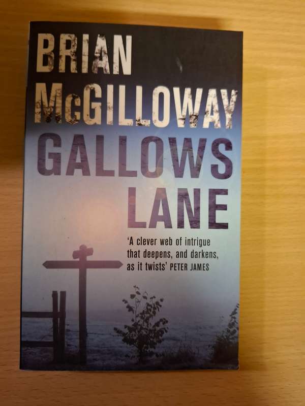 Gallows Lane: Brian McGilloway (Paperback)