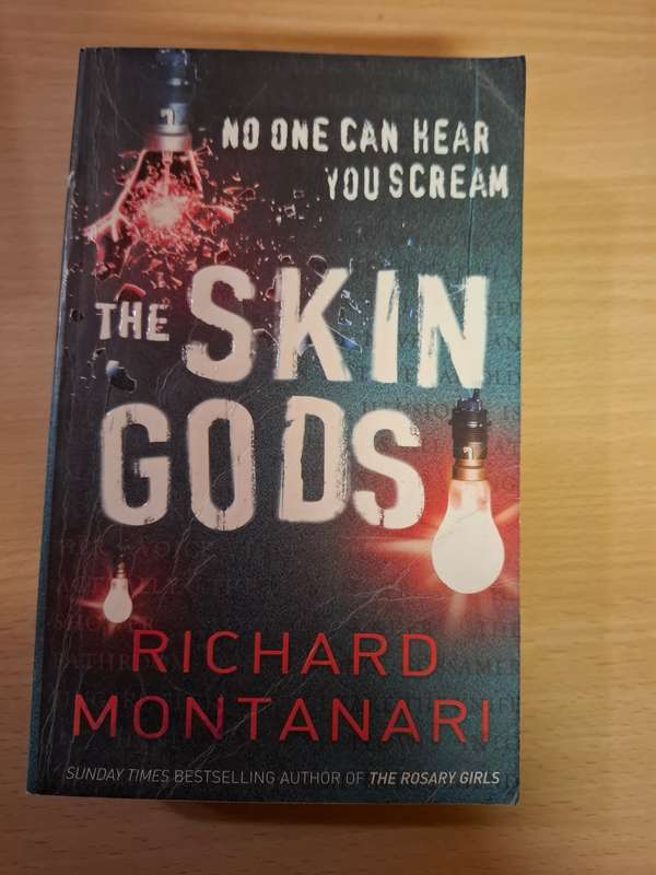 The Skin Gods: Richard Montanari  (Paperback)