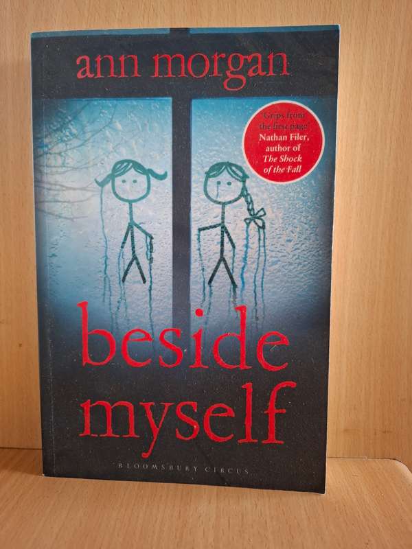 Beside Myself: Ann Morgan  (Large Paperback)