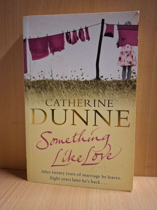 Something Like Love: Catherine Dunne (Paperback)