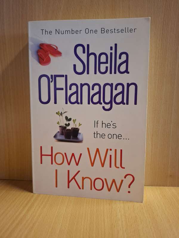 How Will I Know? : Sheila O`Flanagan  (Large Paperback)