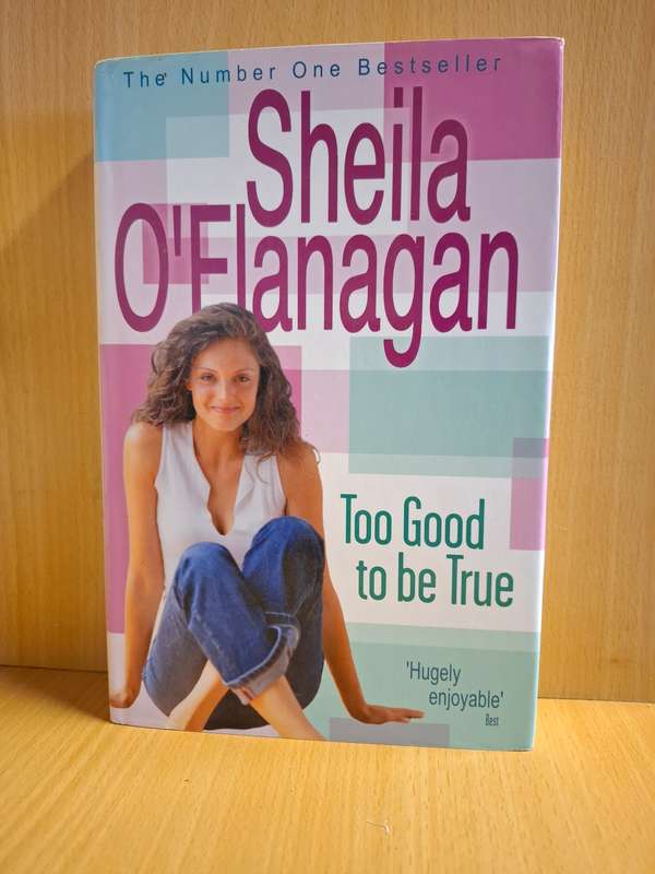 Too Good to be True : Sheila O`Flanagan (Hardcover)